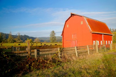 Red Barn with Cows 2 by Unbekannt Unbekannt